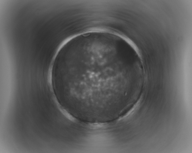 X0000113180862200909111053