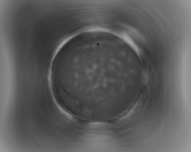 X0000113180863200909111053