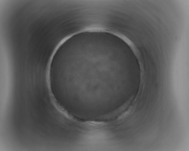 X0000113180864200909111053