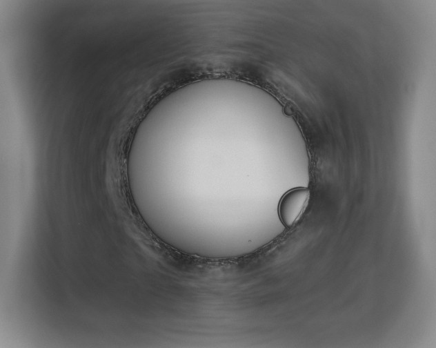 X0000113180865200909111052