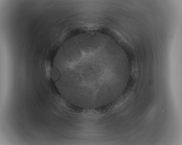 X0000113180866200909111052