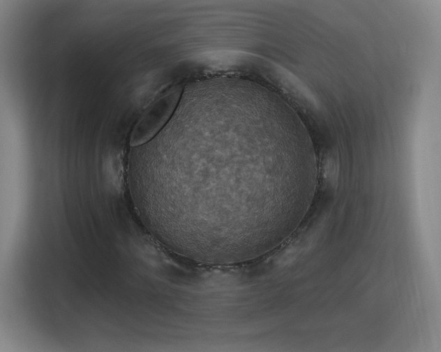 X0000113180868200909111052