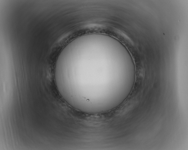 X0000113180869200909111052