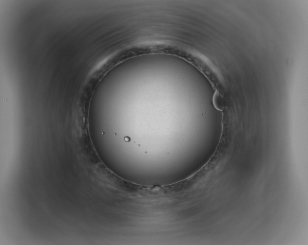 X0000113180871200909111052