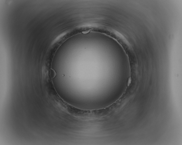 X0000113180872200909111052