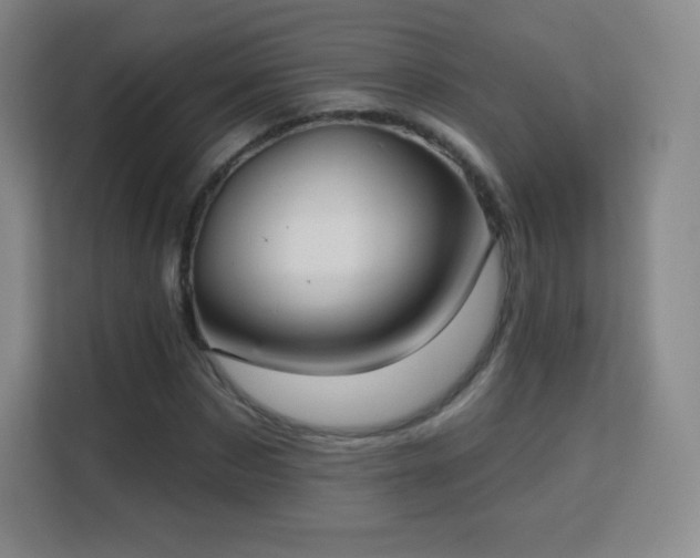 X0000113180873200909111052