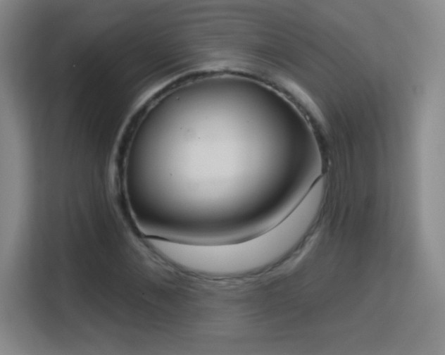X0000113180876200909111052