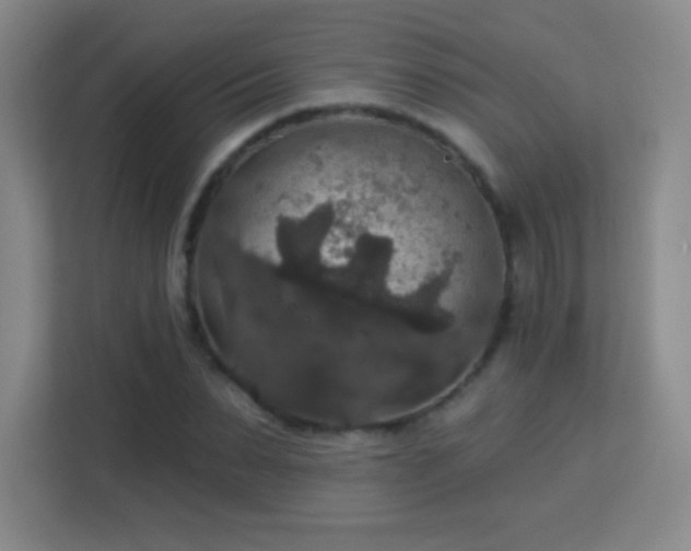 X0000113180879200909111052