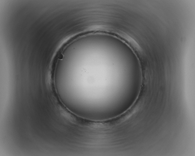 X0000113180880200909111052