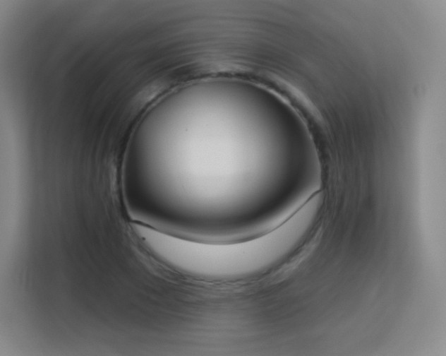 X0000113180881200909111052