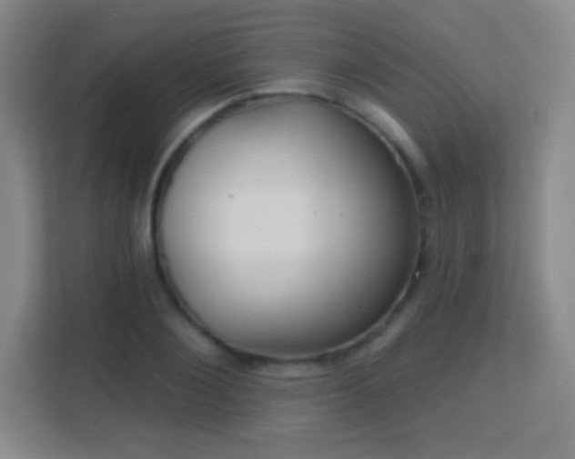 X0000113180884200909111052