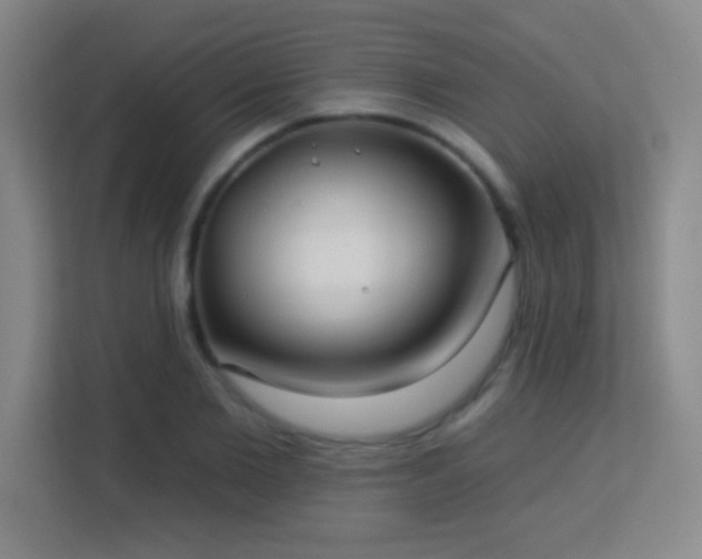 X0000113180885200909111052