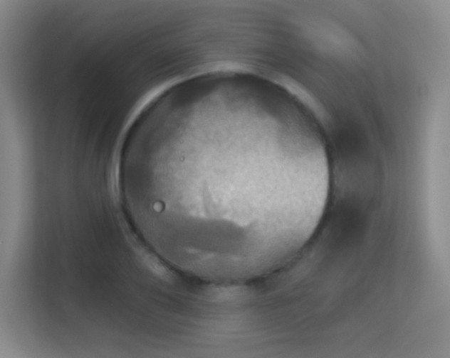X0000113180886200909111052