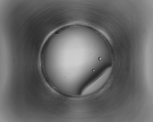 X0000113180888200909111052