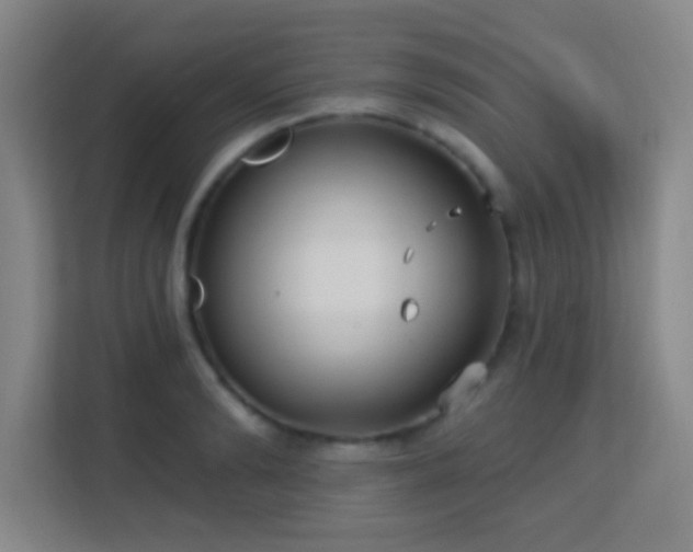 X0000113180894200909111052