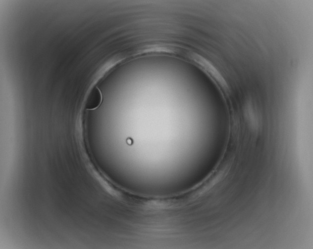X0000113180898200909111052