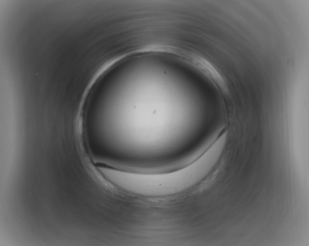 X0000113180900200909111052