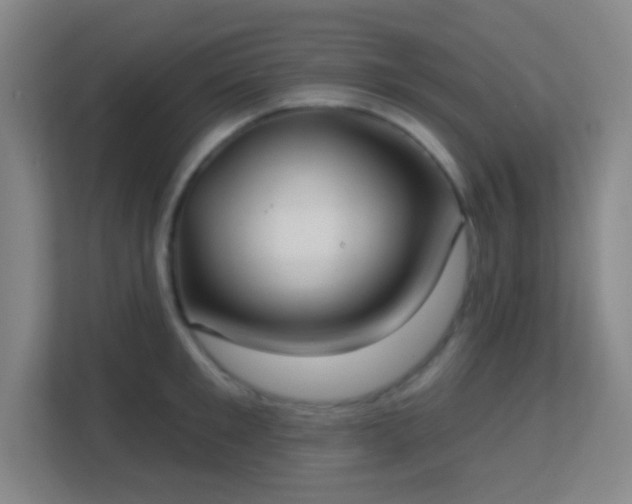 X0000113180901200909111052