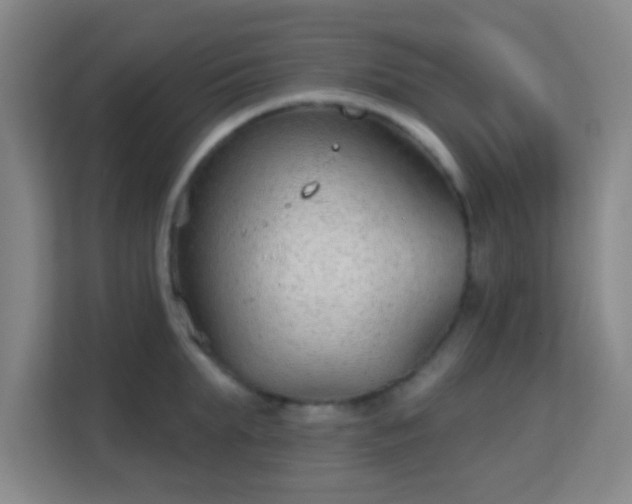 X0000113180903200909111052