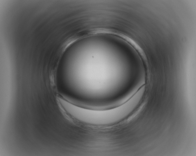 X0000113180905200909111052