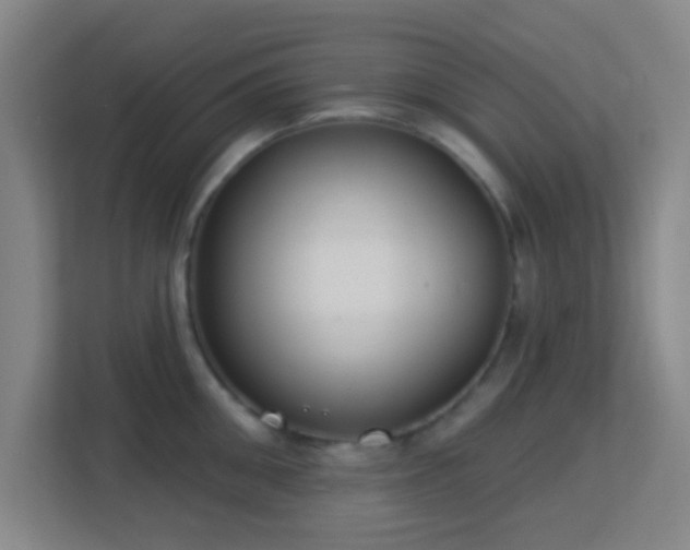 X0000113180906200909111052