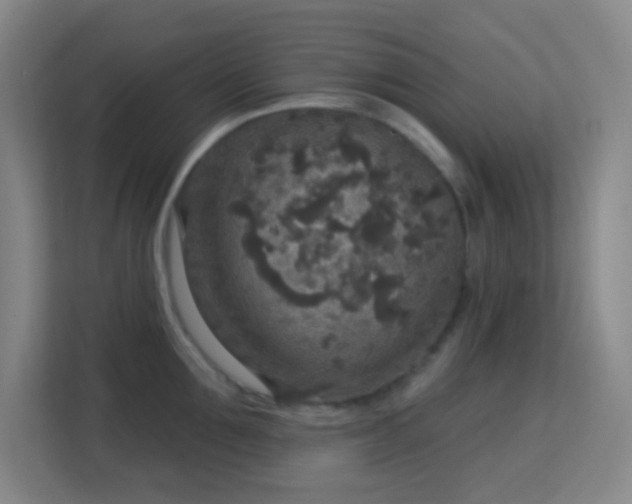 X0000113180907200909111052
