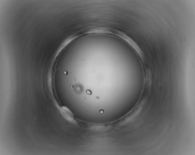 X0000113180909200909111052
