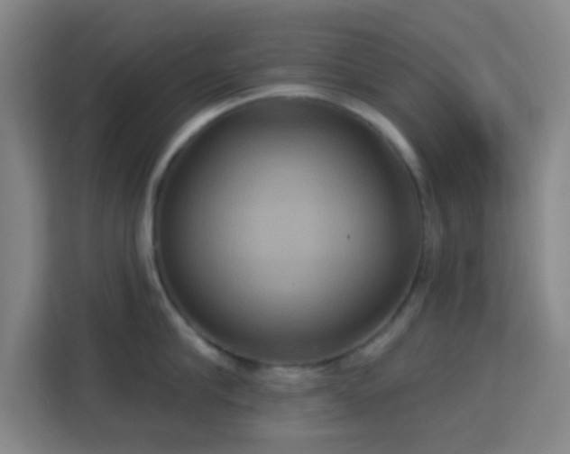 X0000113180910200909111052