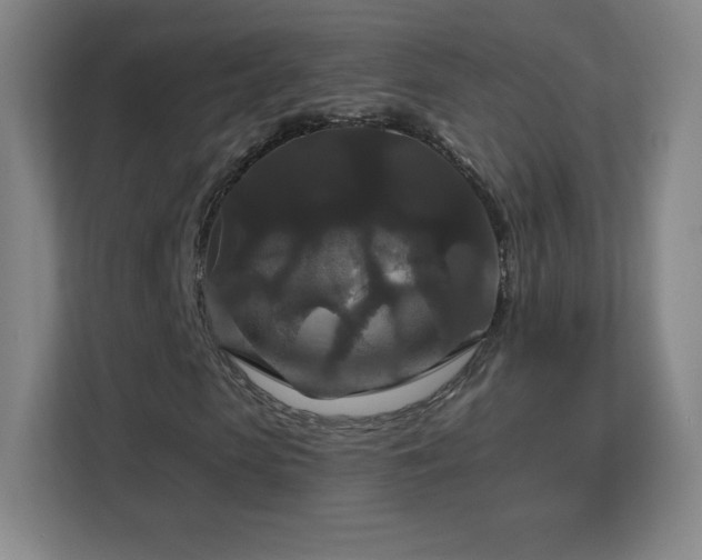 X0000113180913200909111051