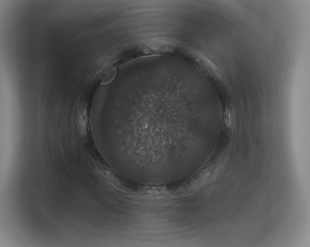 X0000113180915200909111051