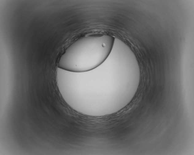 X0000113180916200909111051