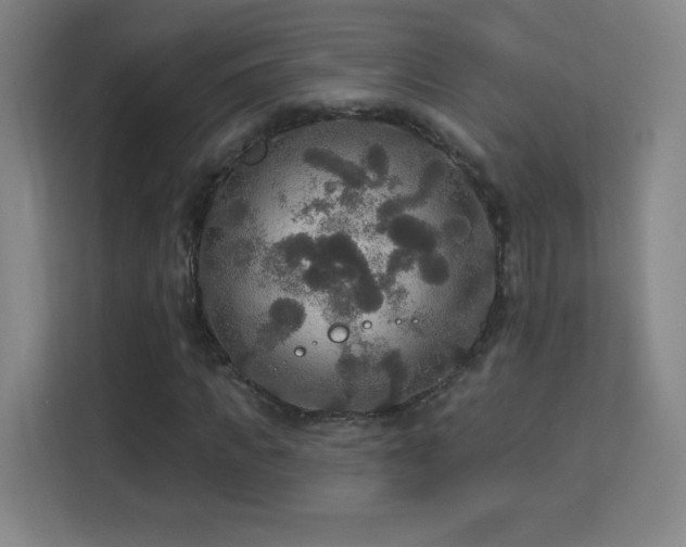 X0000113180917200909111051
