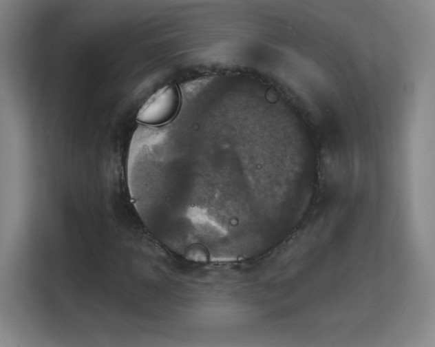 X0000113180918200909111051