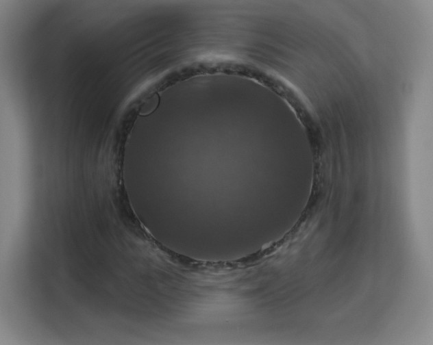 X0000113180919200909111051