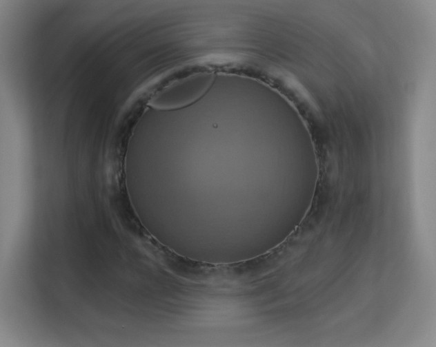 X0000113180920200909111051