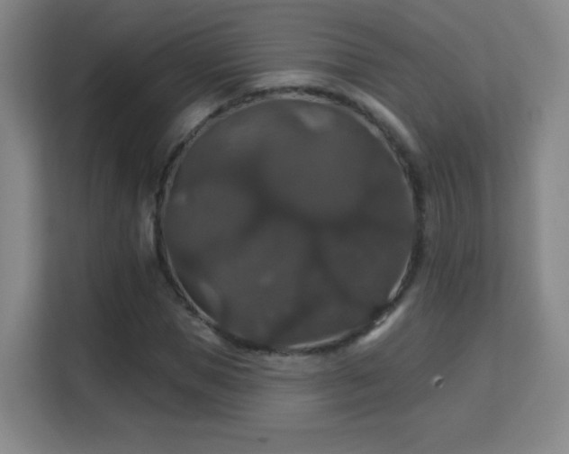X0000113180921200909111051