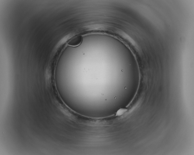 X0000113180922200909111051