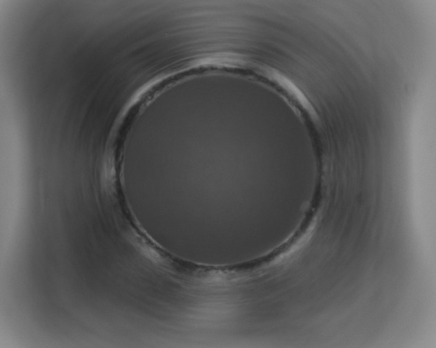 X0000113180923200909111051
