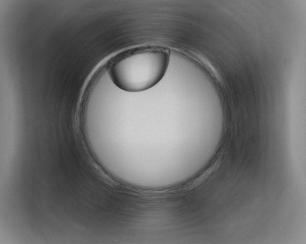 X0000113180924200909111051