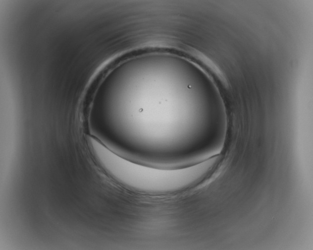 X0000113180926200909111051