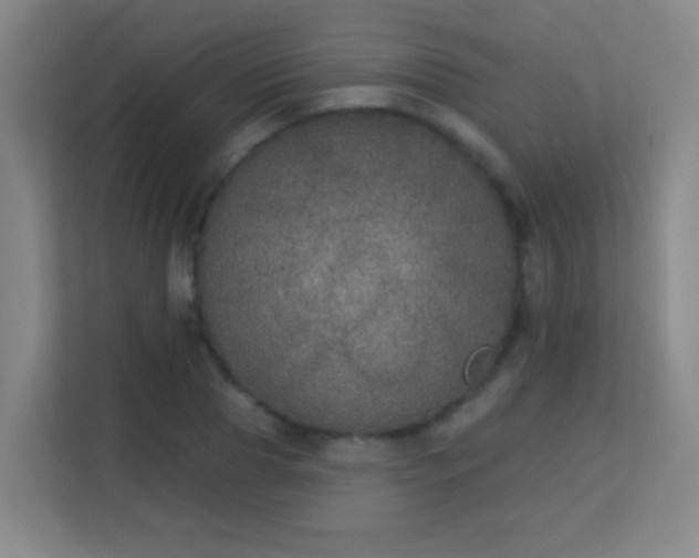 X0000113180929200909111051