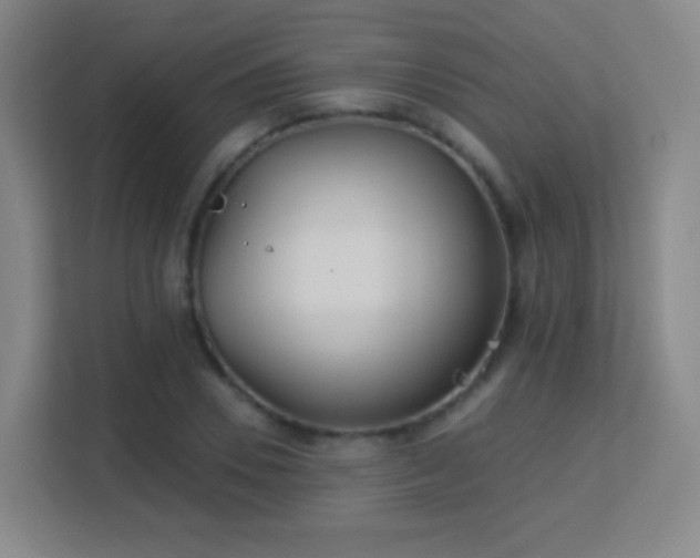 X0000113180930200909111051