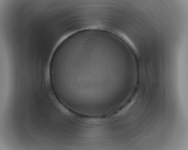 X0000113180932200909111051
