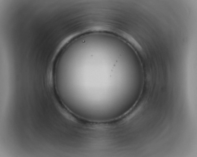 X0000113180934200909111051