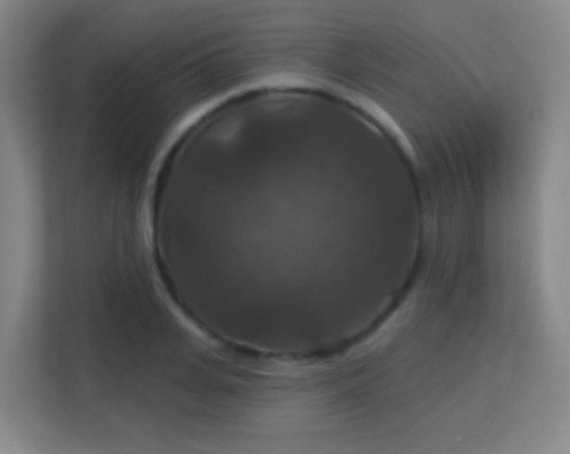 X0000113180935200909111051