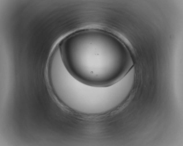 X0000113180936200909111051