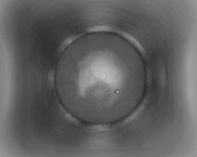 X0000113180937200909111051