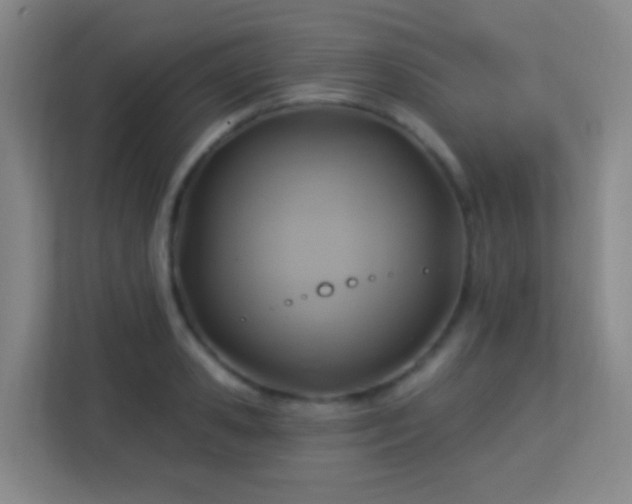 X0000113180941200909111052