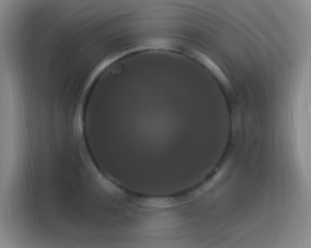 X0000113180944200909111052
