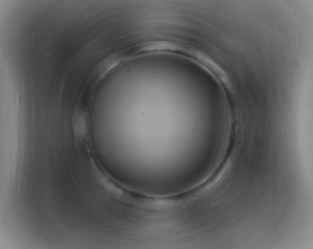 X0000113180945200909111052
